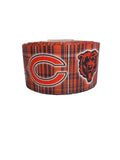 Chicago Bears Plaid Grosgrain Ribbon, Hair Bow Craft (3yd)