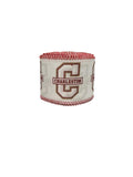 2.5 Inch Wired Charleston on White College Collage on White Ribbon (sold in 10 yard roll)